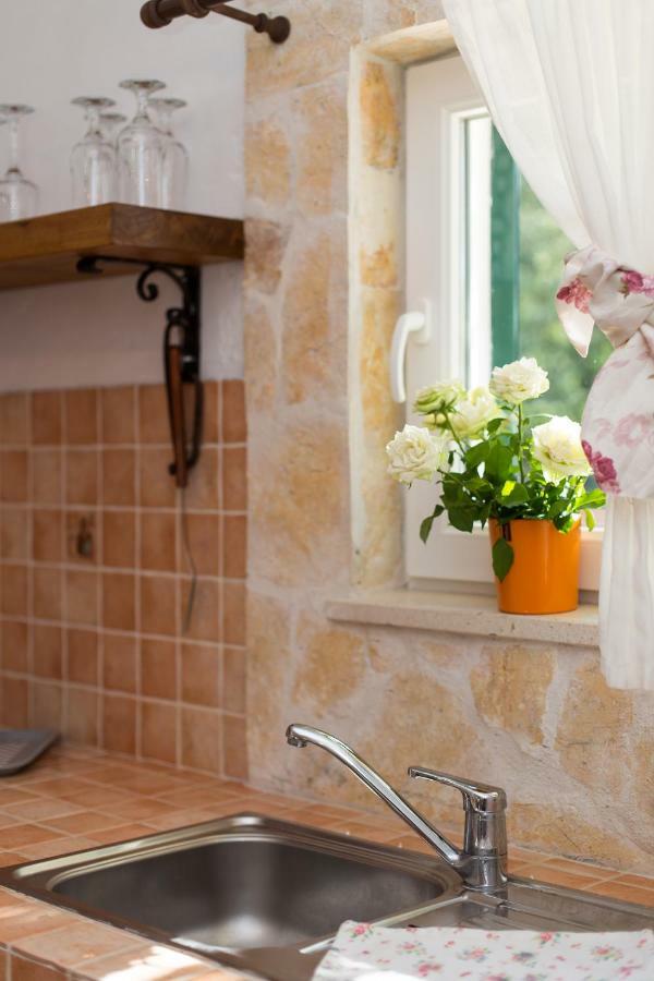 Relaxing Dalmatian House In Village Ljubitovica Extérieur photo